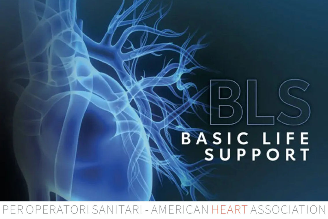 BLS L.G. 2020 - American Heart Association - (BLS Sanitari)